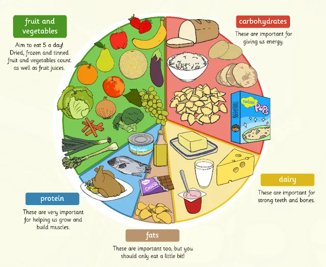 carbohydrates-your-main-energy-source