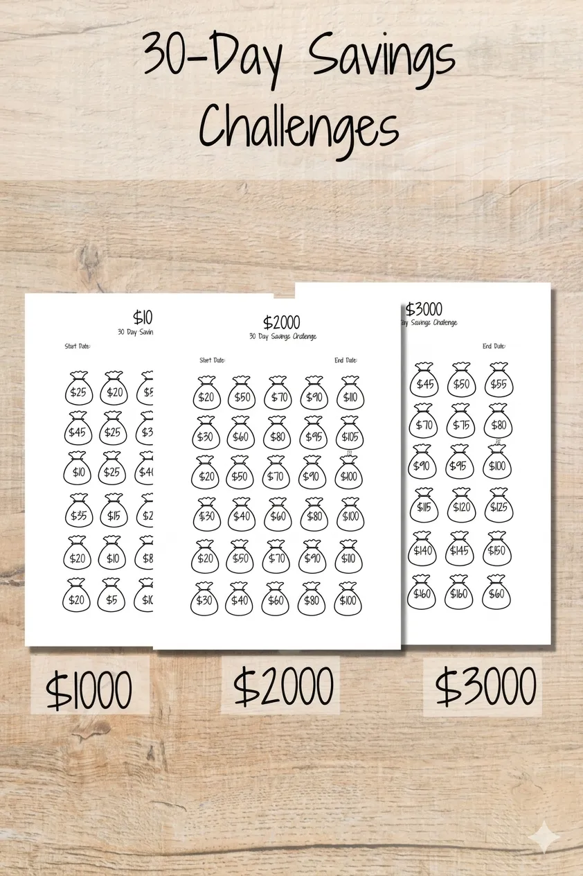 not-having-a-budget-at-alltry-this-30-day-money-challenge-to-get-smarter-and-more-successful-with-your-money