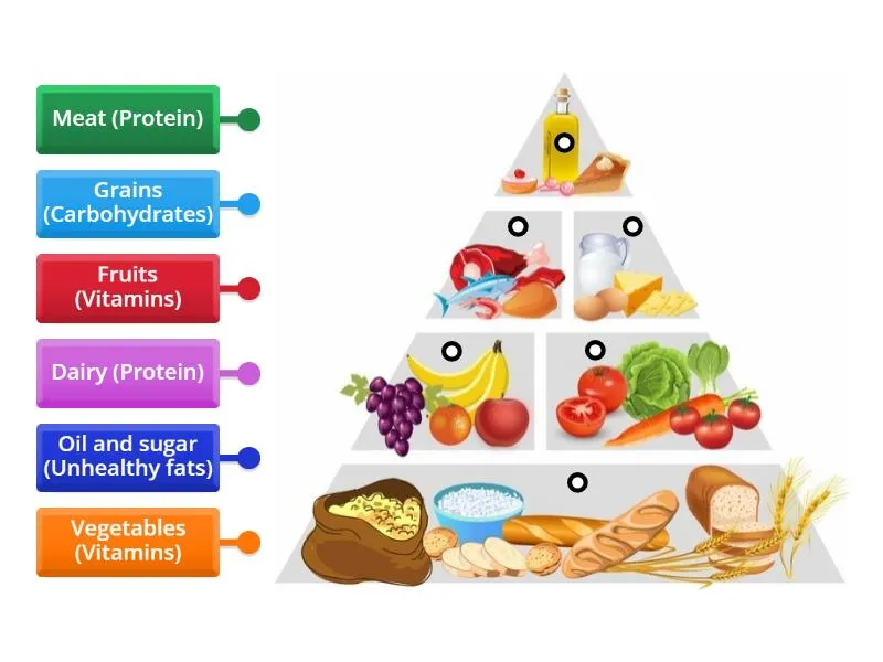 vitamins-and-minerals-support-overall-wellness